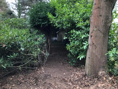 Unser Spielwald hinten im Garten