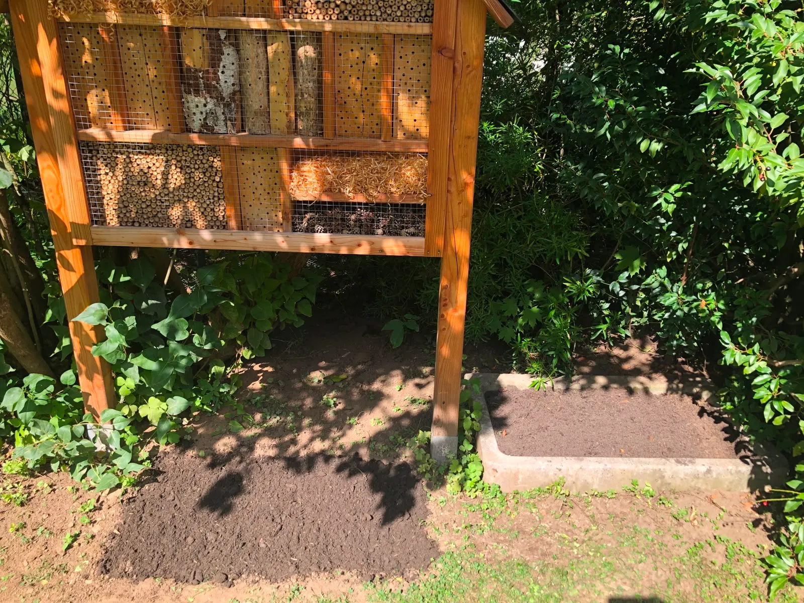 Das neu angelegte Beet rund um das Insektenhotel